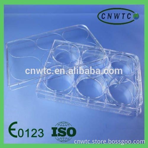 sterile 24wells Tissue Culture Plate